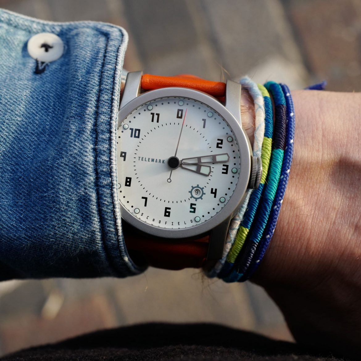 Telemark watch